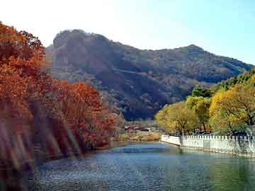 正新澳门二四六天天彩，定型海棉